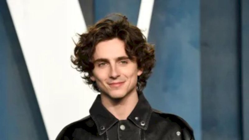 Timotheus Chalamet Wiki/Bio, Age, Career and Wife – WikisClub Blog